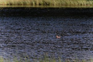 DSCF4757.JPG