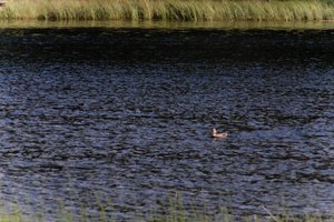 DSCF4758.JPG