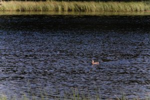 DSCF4759.JPG
