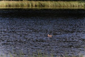 DSCF4760.JPG