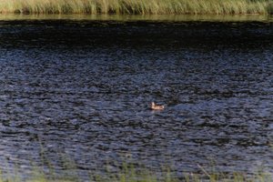 DSCF4761.JPG