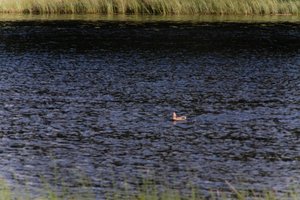 DSCF4762.JPG