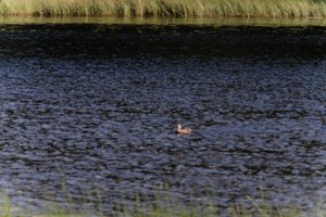 DSCF4763.JPG