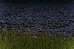 DSCF4764.JPG