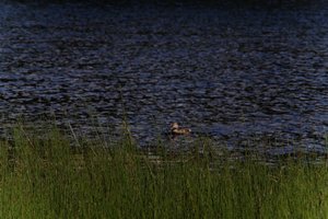 DSCF4765.JPG