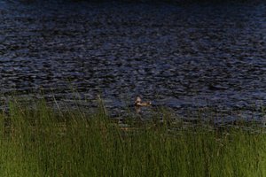 DSCF4766.JPG