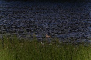 DSCF4767.JPG