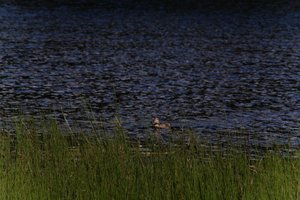 DSCF4768.JPG