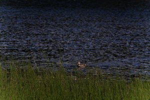 DSCF4769.JPG