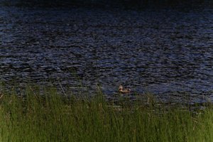 DSCF4771.JPG