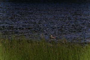 DSCF4772.JPG