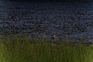 DSCF4773.JPG