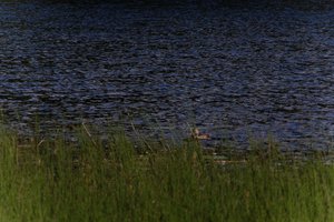 DSCF4775.JPG
