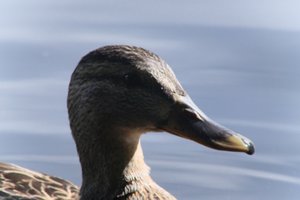 DSCF4788.JPG