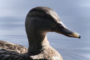 DSCF4790.JPG