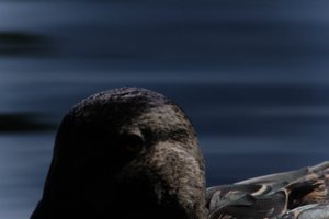 DSCF4814.JPG