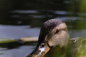 DSCF4828.JPG
