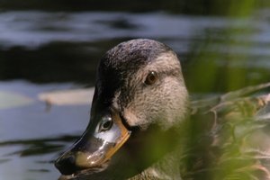 DSCF4830.JPG