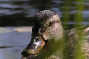 DSCF4831.JPG