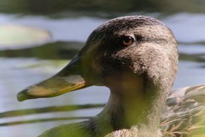DSCF4844.JPG