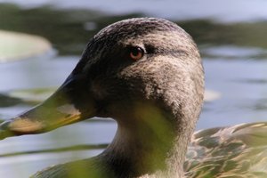 DSCF4847.JPG