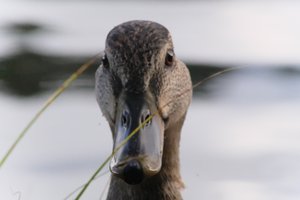 DSCF4903.JPG