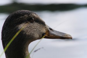 DSCF4914.JPG