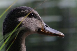 DSCF4922.JPG
