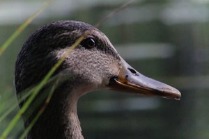 DSCF4925.JPG