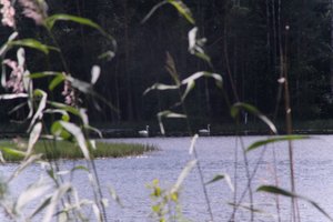 DSCF4949.JPG