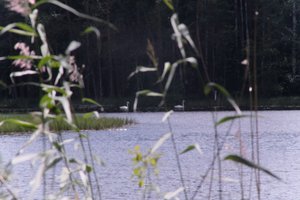 DSCF4952.JPG