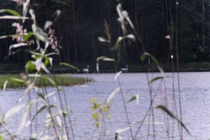 DSCF4953.JPG