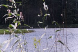 DSCF4954.JPG