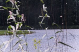 DSCF4955.JPG