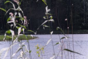 DSCF4956.JPG
