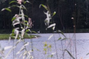 DSCF4965.JPG