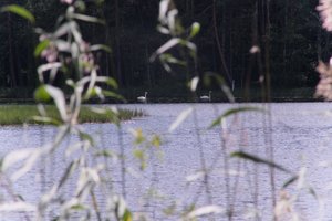DSCF4972.JPG