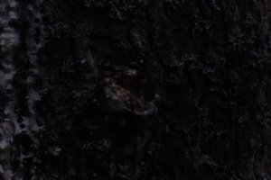 DSCF4974.JPG