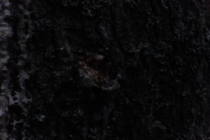 DSCF4976.JPG
