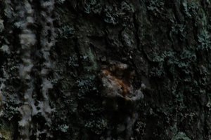 DSCF4977.JPG