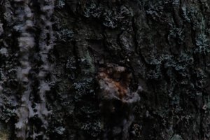 DSCF4978.JPG