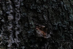 DSCF4980.JPG