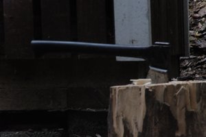 DSCF5016.JPG