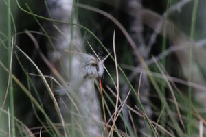DSCF5035.JPG