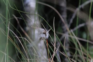 DSCF5036.JPG
