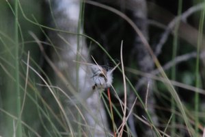 DSCF5037.JPG