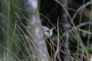 DSCF5038.JPG