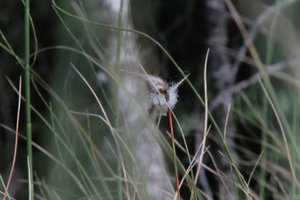 DSCF5041.JPG