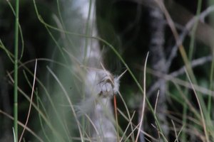 DSCF5043.JPG