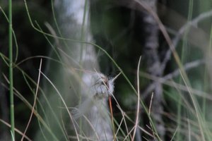 DSCF5044.JPG